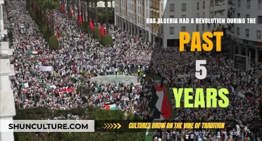 Algeria's Recent Uprisings: Revolution or Political Transformation?