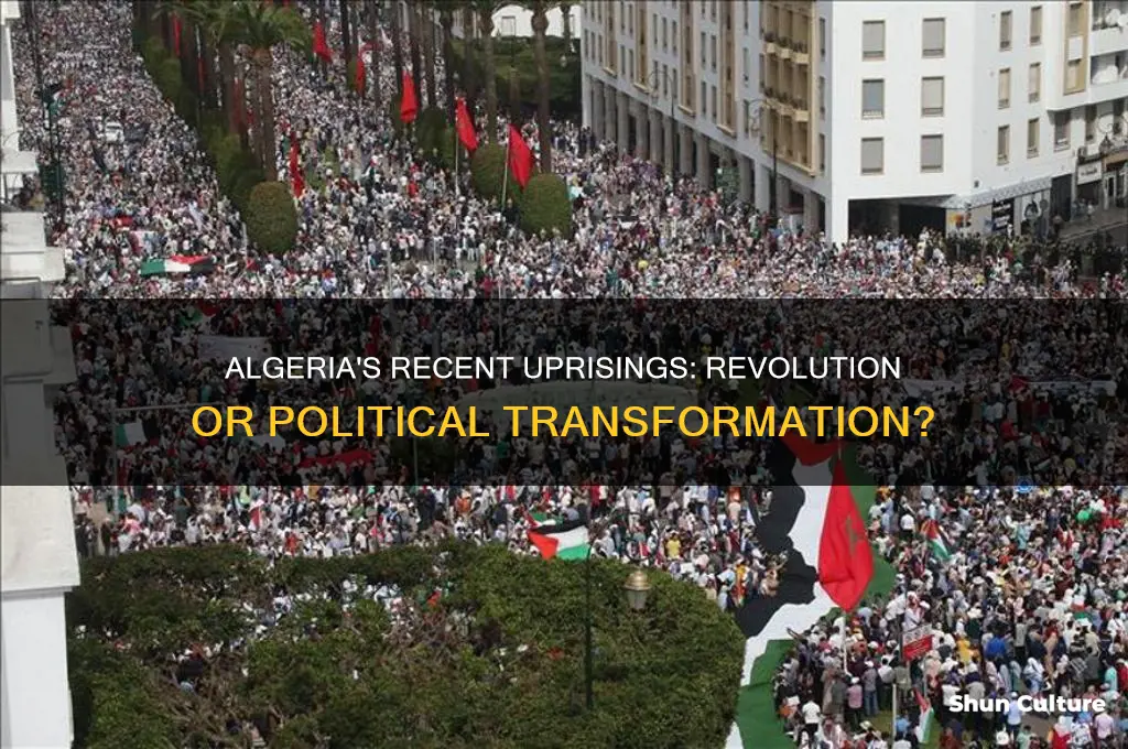 has algeria had a revolution during the past 5 years