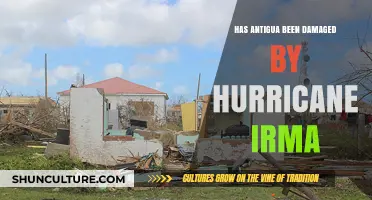 Hurricane Irma's Impact: Assessing Antigua's Damage and Recovery Efforts