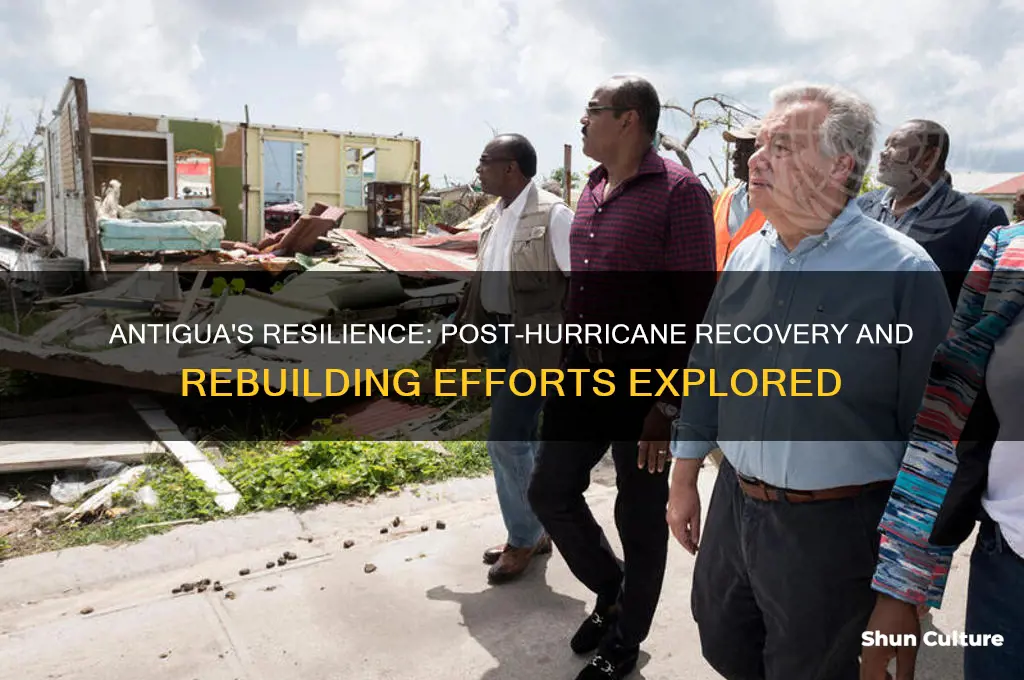 has antigua recovered from hurricane