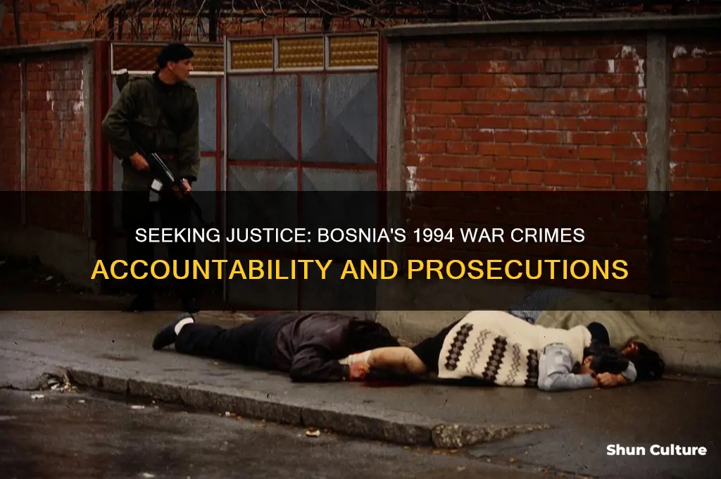 has anybody been brought to justice in 1994 in bosnia