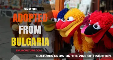 Exploring the Journey of Adoption from Bulgaria: Stories and Insights