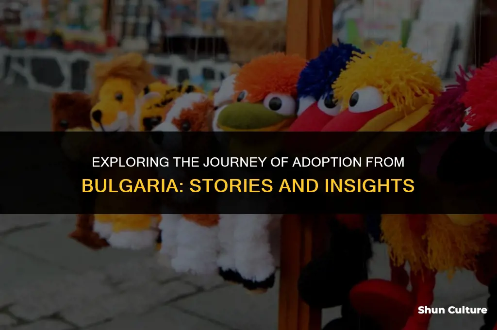 has anyone adopted from bulgaria