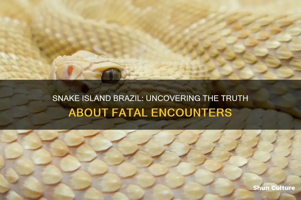 has anyone died on snake island brazil