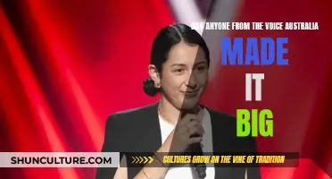 The Voice Australia: Did Contestants Achieve Stardom?