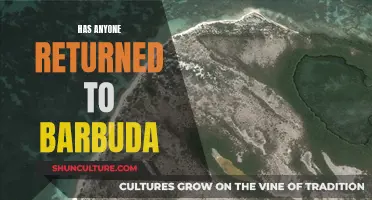 The Resurgence of Barbuda: Who Has Returned Home?