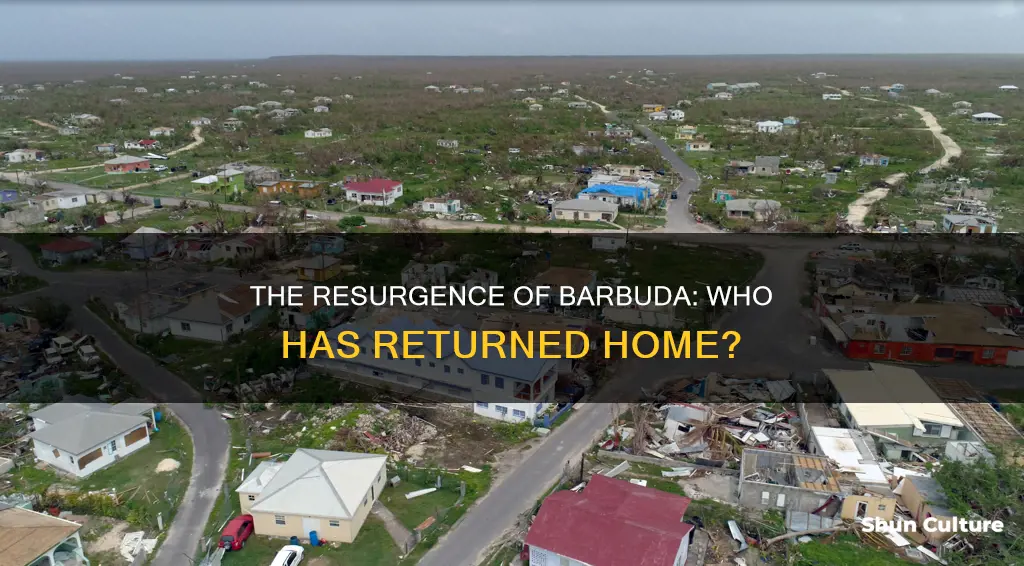 has anyone returned to barbuda