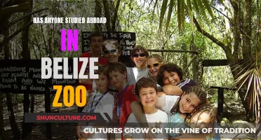 Exploring Belize Zoo: An International Student's Experience