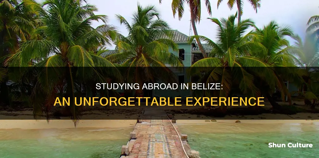 has anyone studied abroad in belize