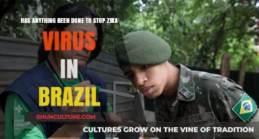 Brazil's Fight Against Zika: Progress, Challenges, and Ongoing Efforts