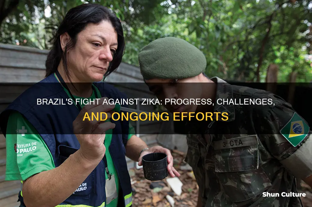 has anything been done to stop zika virus in brazil