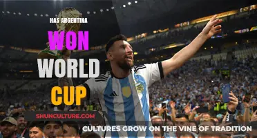 Triumphs and Tears: Argentina's World Cup Journey