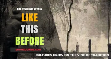 Australia's Bushfires: A History of Devastation