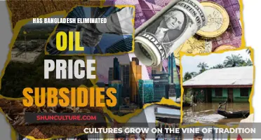 Has Bangladesh Successfully Phased Out Oil Price Subsidies?