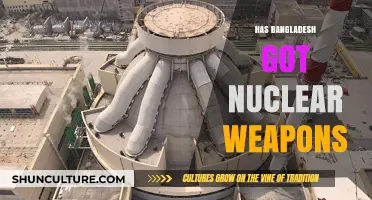 Does Bangladesh Possess Nuclear Weapons? Unraveling the Facts and Myths