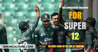 Bangladesh's T20 World Cup Journey: Super 12 Qualification Status Revealed