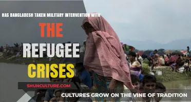 Bangladesh's Military Role in Addressing the Refugee Crisis: Intervention or Aid?