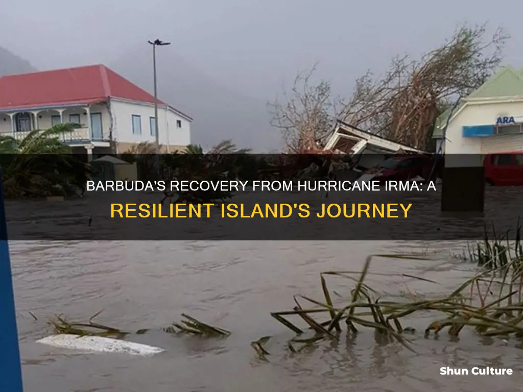 has barbuda recovered from hurricane irma