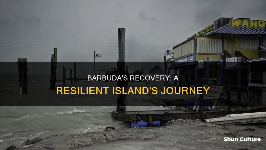 has barbuda recovered