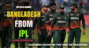 BCCI's Stance: Is Bangladesh Banned from IPL Participation?