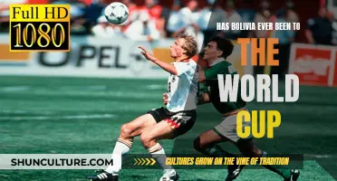 Bolivia's World Cup Dreams: History and Hopes