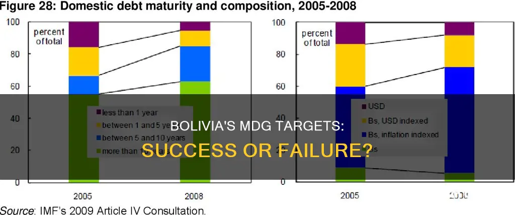 has bolivia met the millennium development goal targets