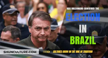 Bolsonaro's Stance: Has He Conceded Brazil's Election to Lula?