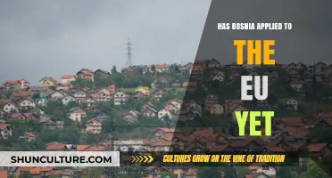 Bosnia's EU Membership Bid: Current Status and Future Prospects