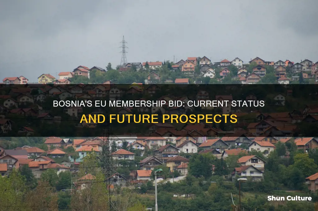 has bosnia applied to the eu yet