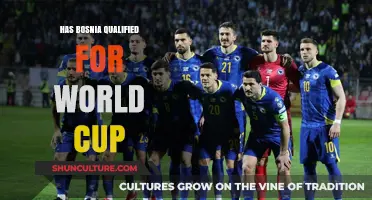 Bosnia's World Cup Qualification Status: Updates and Analysis