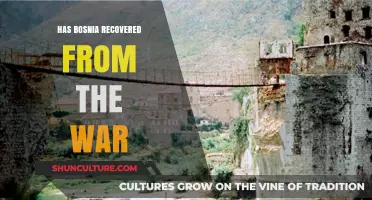 Bosnia's Post-War Journey: Recovery, Challenges, and Hope for the Future