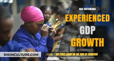 Botswana's Economic Journey: Analyzing Recent GDP Growth Trends and Factors