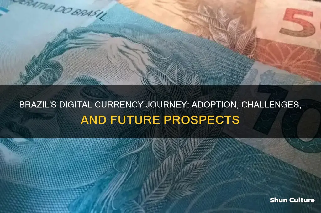 has brazil adopted digital currency