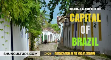 Has Brazil Always Been Its Capital? Unraveling the Historical Truth