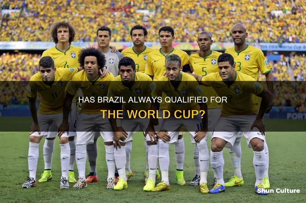 has brazil always qaulified for world cup