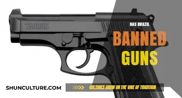 Brazil's Gun Ban: Unraveling the Truth Behind Firearm Restrictions