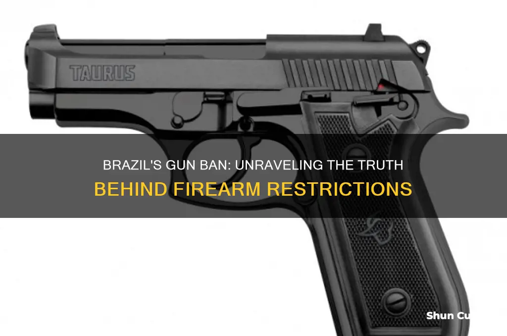 has brazil banned guns