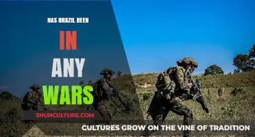 Brazil's Military History: Wars, Conflicts, and International Involvement Explored