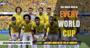 Brazil's World Cup Legacy: A Consistent Presence in Every Tournament?