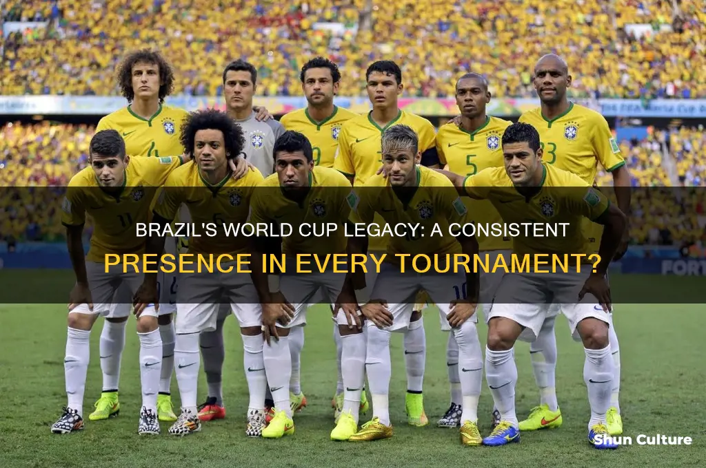 has brazil been in every world cup