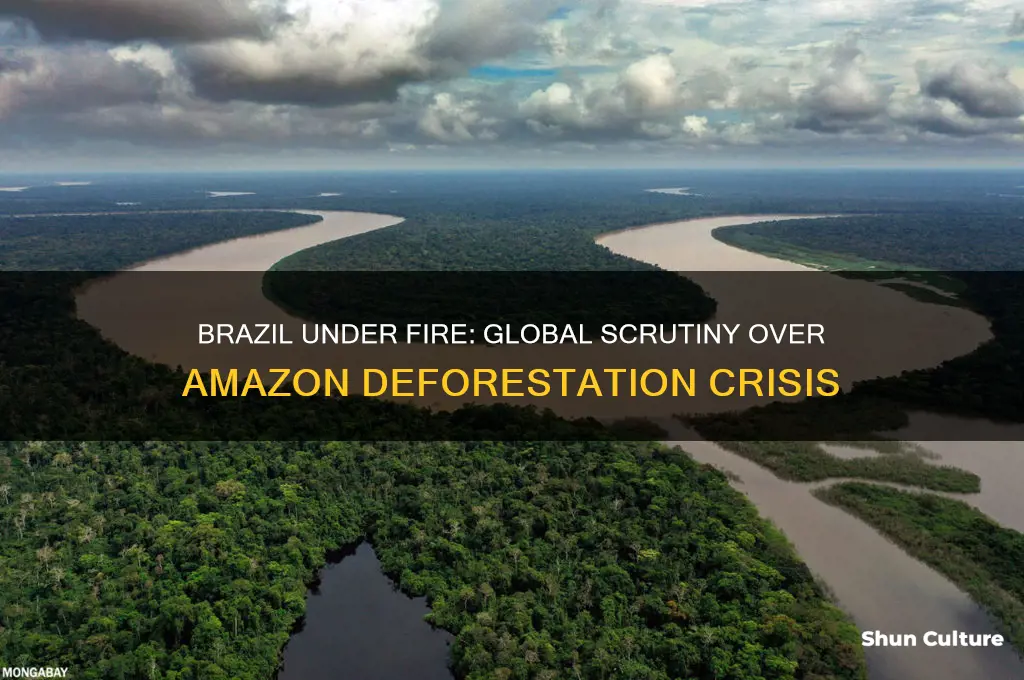 has brazil been under scrutiny for amazon deforestation