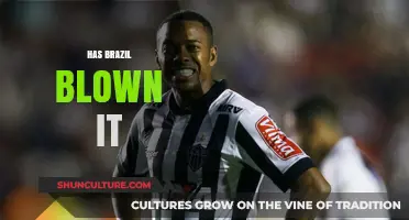Has Brazil Squandered Its Potential? A Critical Analysis of Recent Setbacks