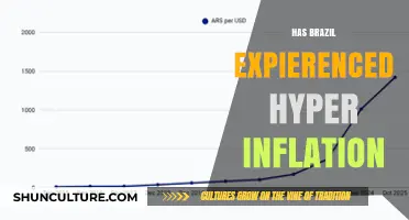 Brazil's Hyperinflation Crisis: Causes, Impact, and Economic Recovery Journey