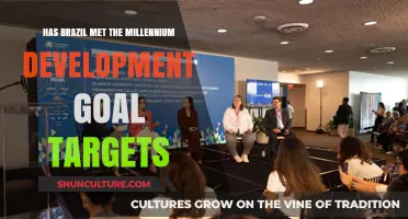Brazil's Progress: Assessing Millennium Development Goals Achievement and Impact