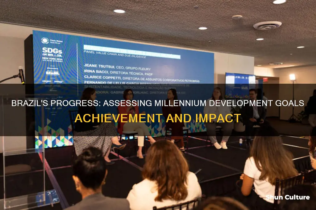 has brazil met the millennium development goal targets