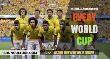 Brazil's World Cup Streak: Has the Team Qualified Every Time?