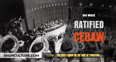 Brazil's CEDAW Ratification: Status, Impact, and Gender Equality Progress