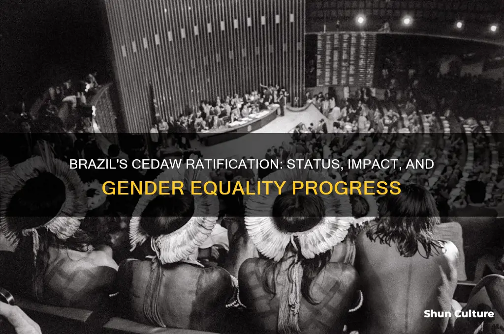has brazil ratified cedaw