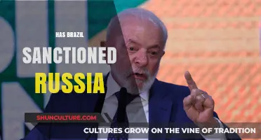 Brazil's Stance on Russia: Sanctions, Neutrality, or Strategic Ambiguity?
