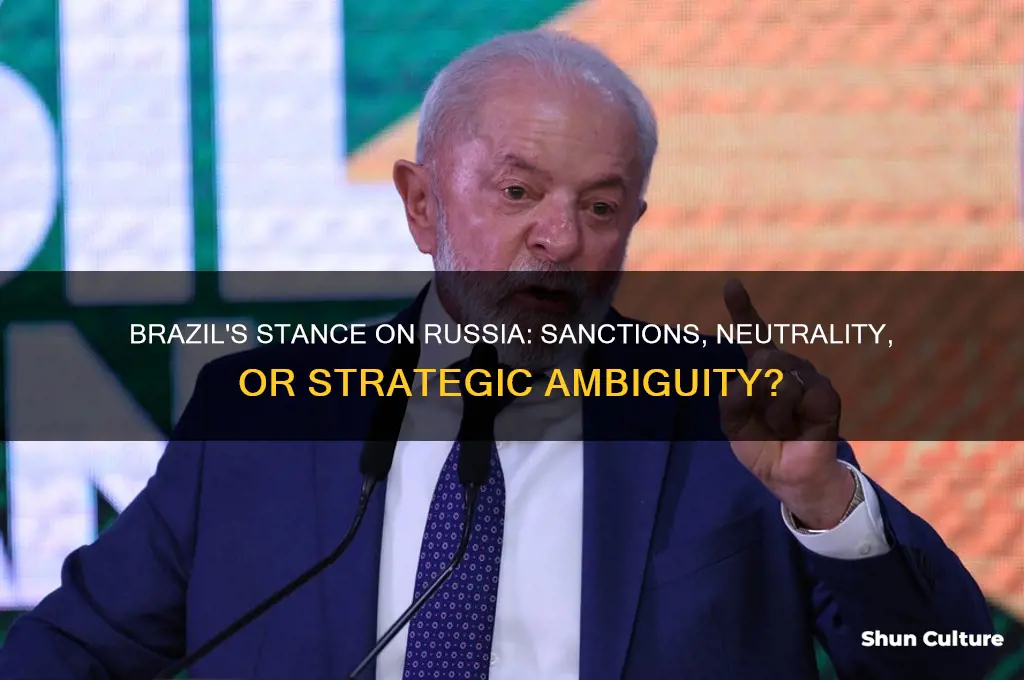 has brazil sanctioned russia